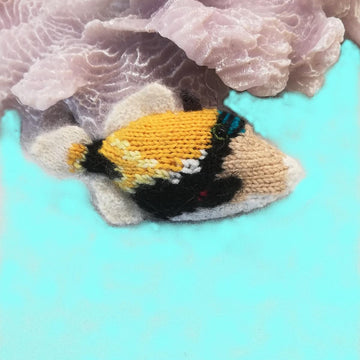 Hawaiian reef fish