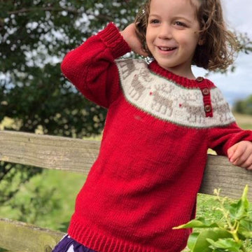 Reindeer Jumper for Children in Sport or DK