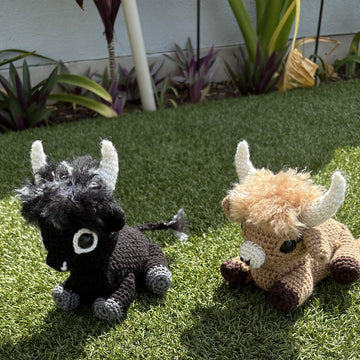 Baby Highland Cows