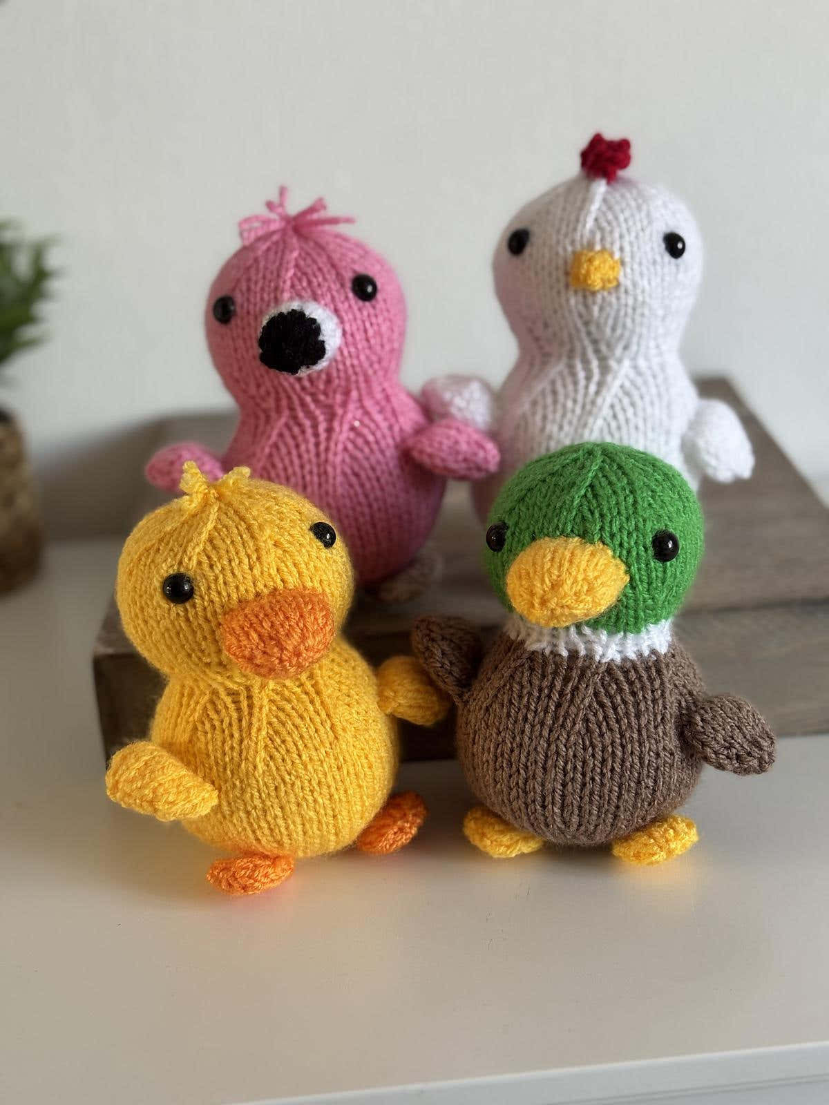 Baby Birds set of 4