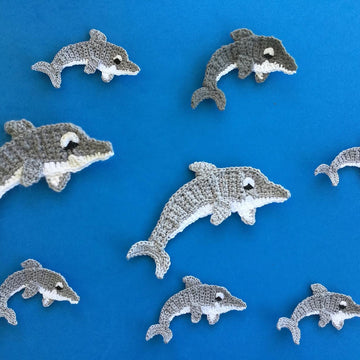 Dolphin