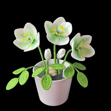 Crochet Hellebore flower