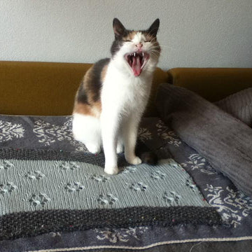 Trillian's Cuddle Cowl