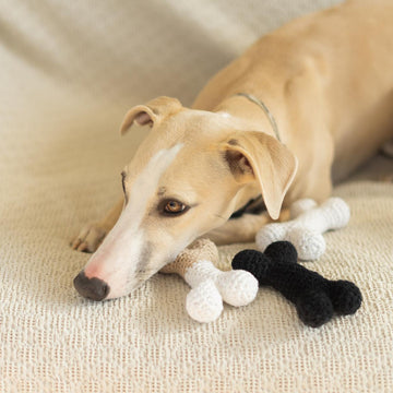 Doggo bone
