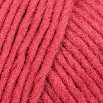 Wool and the Gang Lil Crazy Sexy Wool