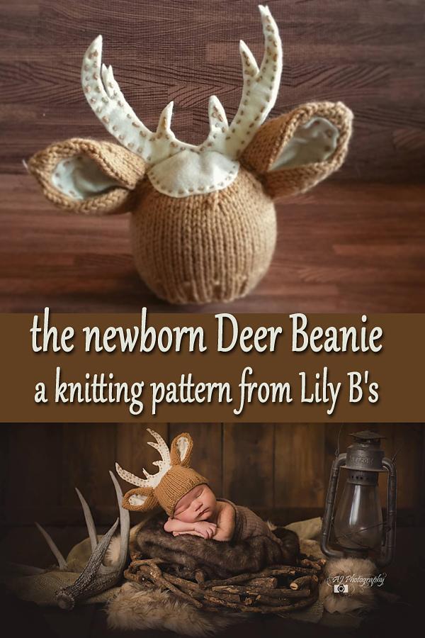 Deer Beanie with Felt Antlers