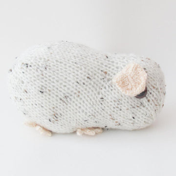 Guinea Pig Toy