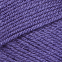 Aster (08344)