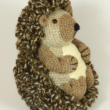 Hedley the Hedgehog