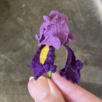 Iris flower