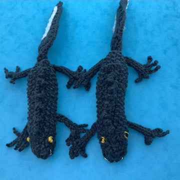 Newt