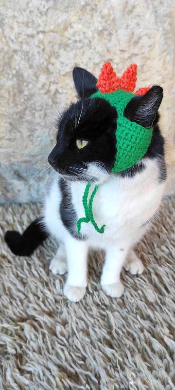 Crochet dinosaur hat
