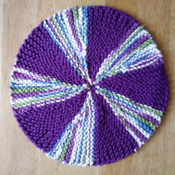 1O Segment Discloth/Hotpad