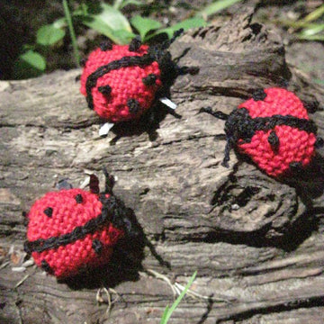 Ladybird
