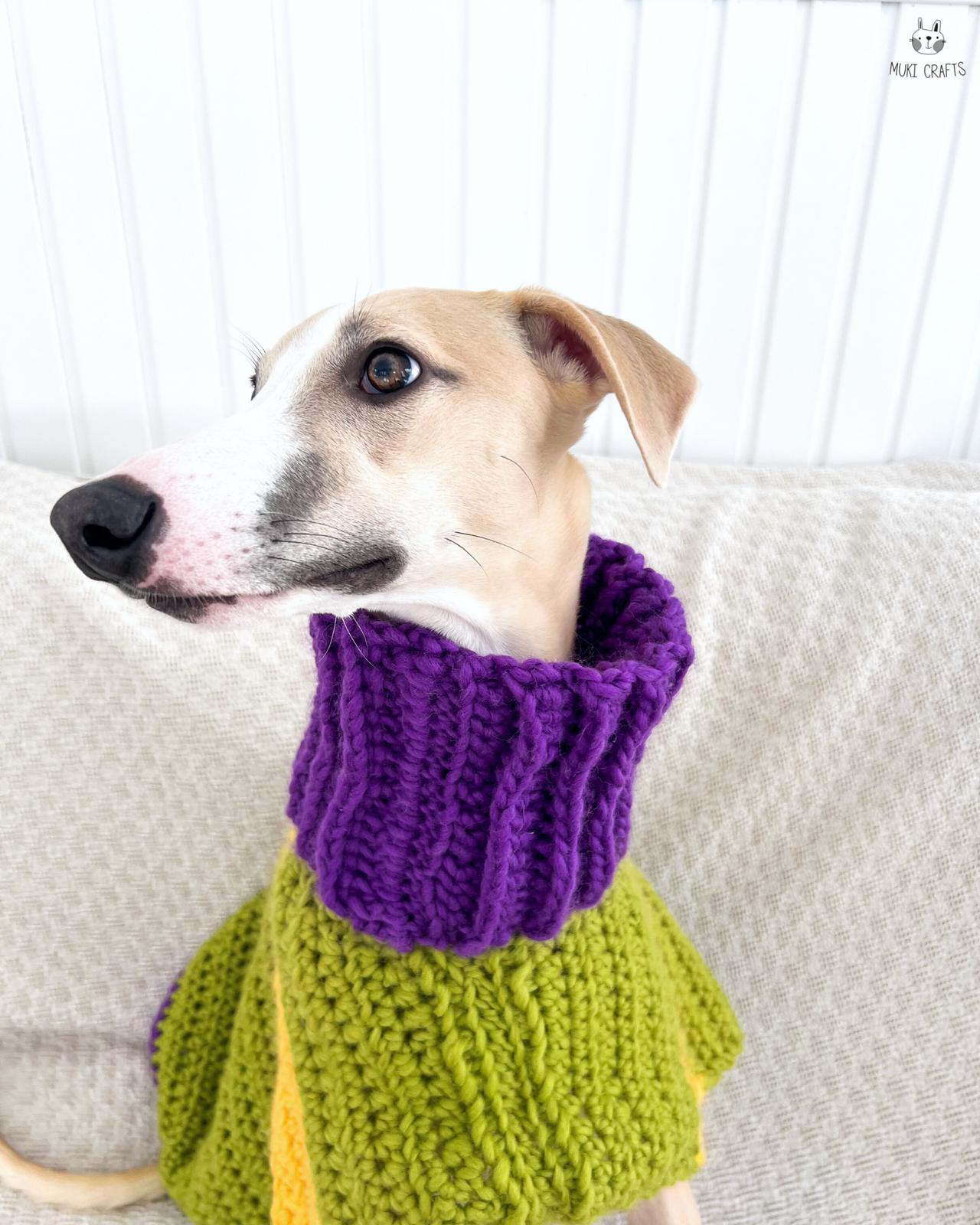 Doggo no 12 sweater