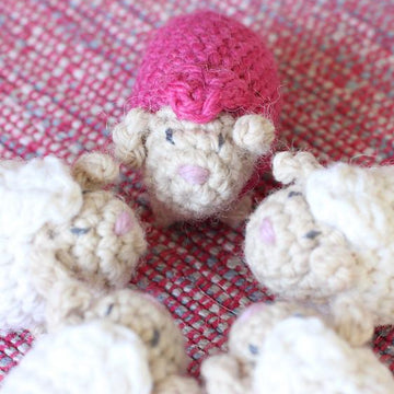 Little sheep