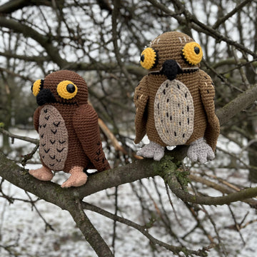 Potoo Bird