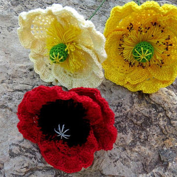 Poppy flanders oriantal or icelandic