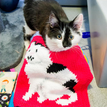 Ray Blanket for Battersea
