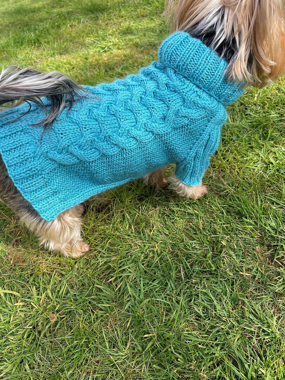 Aqua Dog or Cat Sweater