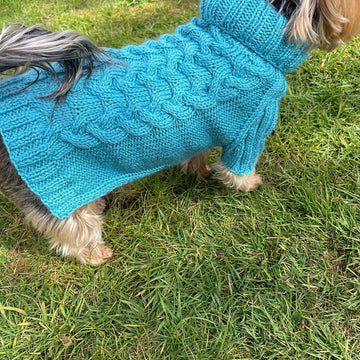 Aqua Dog or Cat Sweater