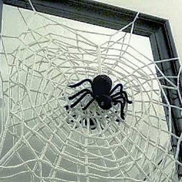 Halloween Spiderweb and Spider