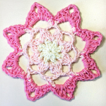 Jane's Joy Starflower