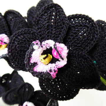 Black Orchid