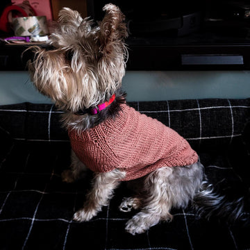 Cable Doggo Sweater