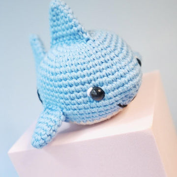 Stefano the Shark