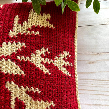 Snowflake Cushion