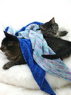 Kitty Invisibility Cloak