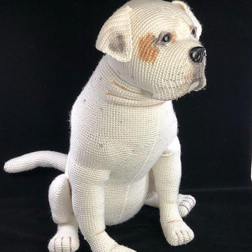 American Bulldog