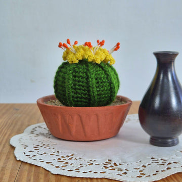 Ball cactus with flower