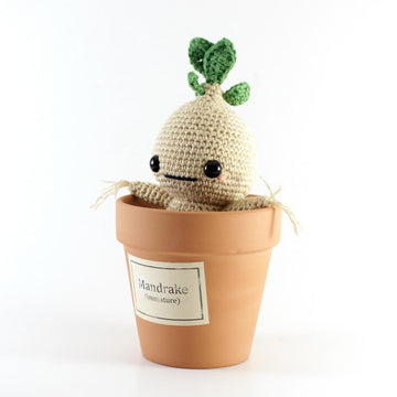 Mandrake