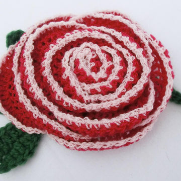 Blooming Roses