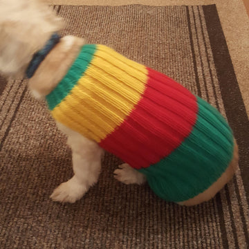Bailey's Jazzy Jacket