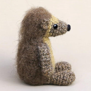 Flims the hedgehog