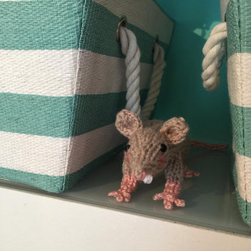 Raymond the Rat
