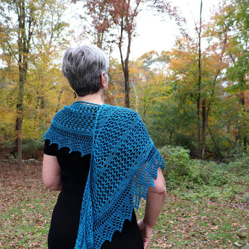 Meshing Around Shawl
