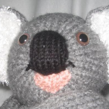Koala Tea Cosy