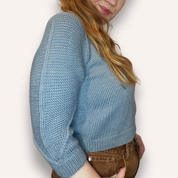 Passerine Feather Raglan Crop Sweater