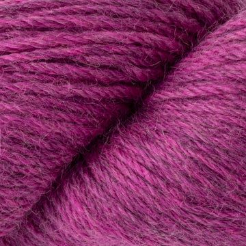 Foxglove (1111)