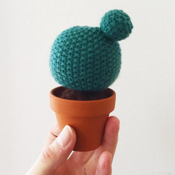 Baby Cactus Garden