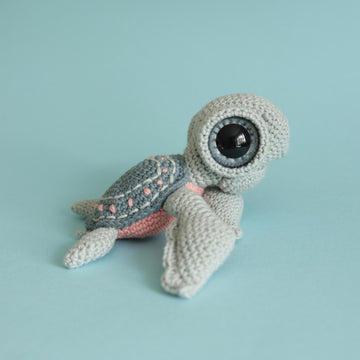Seymour The Sea Turtle