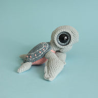 Seymour The Sea Turtle