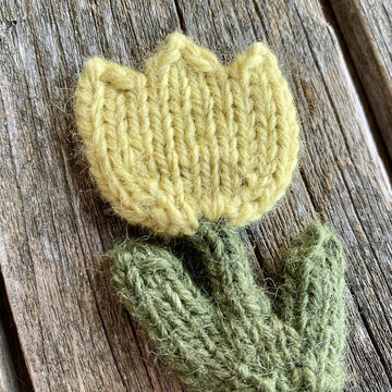 Tulip