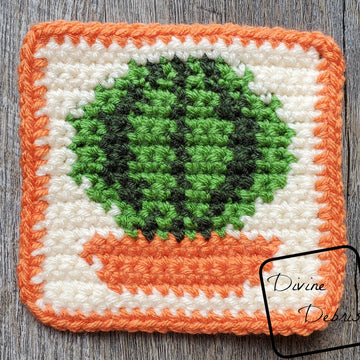 Cactus Coasters Quartet