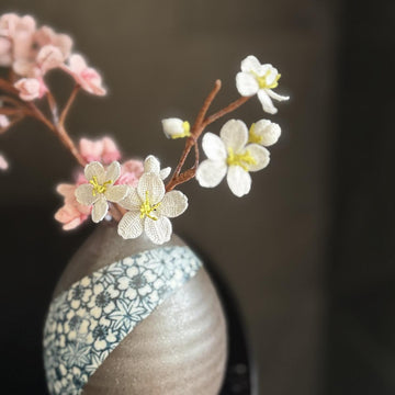 Cherry blossom branch