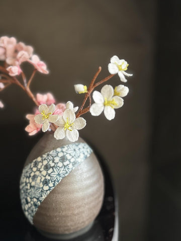 Cherry blossom branch